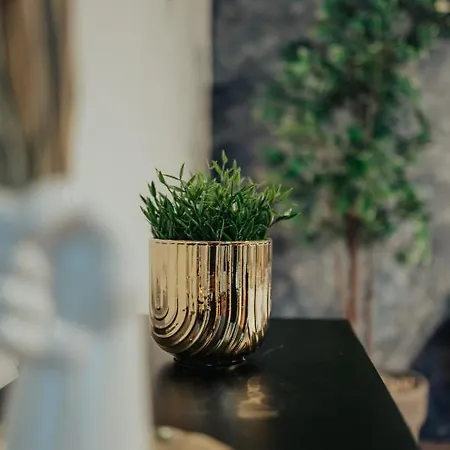 Apartment J&j